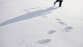 Lupiče udaly jeho vlastní stopy ve sněhu.