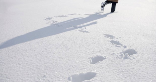 Lupiče udaly jeho vlastní stopy ve sněhu.