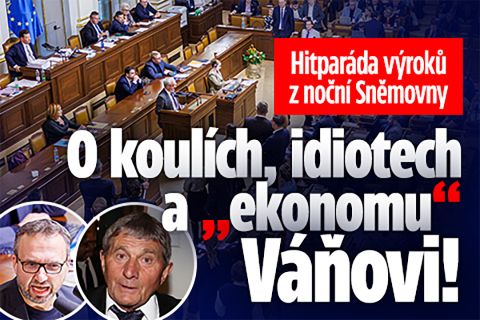 Hitparáda výroků z noční Sněmovny: O koulích a idiotech