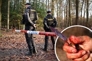 Hrůza u Boleveckého rybníka v Plzni: Pobodaná žena!