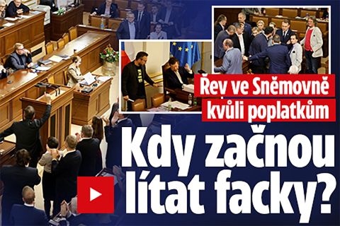 Řev a bušení ve Sněmovně kvůli poplatkům: Začnou lítat facky?