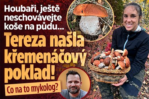 Tereza našla koš křemenáčů! Mykolog: Je to ještě bezpečné?