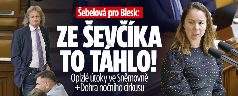 Šebelová pro Blesk: „Ze Ševčíka to šíleně táhlo!“