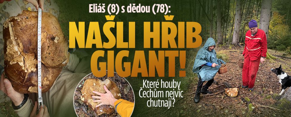 Eliáš (8) s dědou (78) našli hřib gigant!