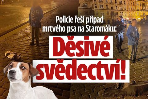 Policie řeší mrtvého psa na Staromáku: Děsivé svědectví