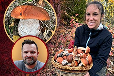 Tereza našla koš křemenáčů! Mykolog: Je to ještě bezpečné?