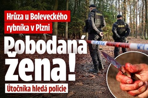 Hrůza u Boleveckého rybníka v Plzni: Pobodaná žena!