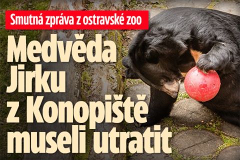 Smutná zpráva z ostravské zoo: Medvěda Jirku utratili