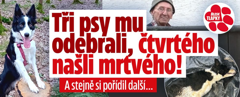 Blesk tlapky: Tři psy mu odebrali, čtvrtého našli mrtvého!