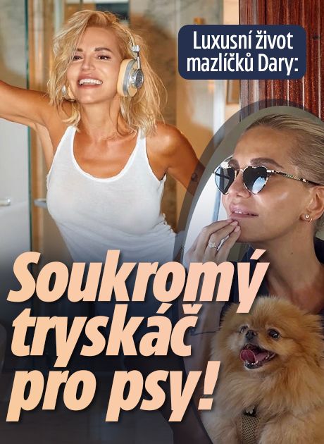 Luxusní život mazlíčků Dary: Soukromý tryskáč pro psy!