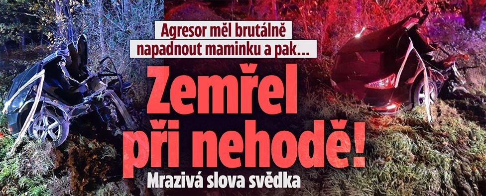 Agresor měl na jihu Čech napadnout maminku: Zemřel v autě