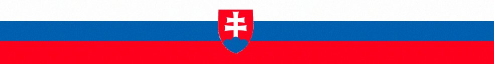 Prezidentské volby na Slovensku 2024