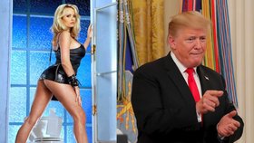 Pornoherečka, která tvrdí, že spala s Donaldem Trumpem, vydává paměti.