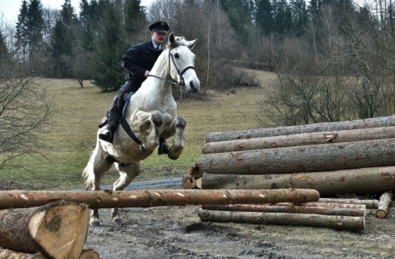 Skákal jak ve Velké pardubické, jde však o dabléra.