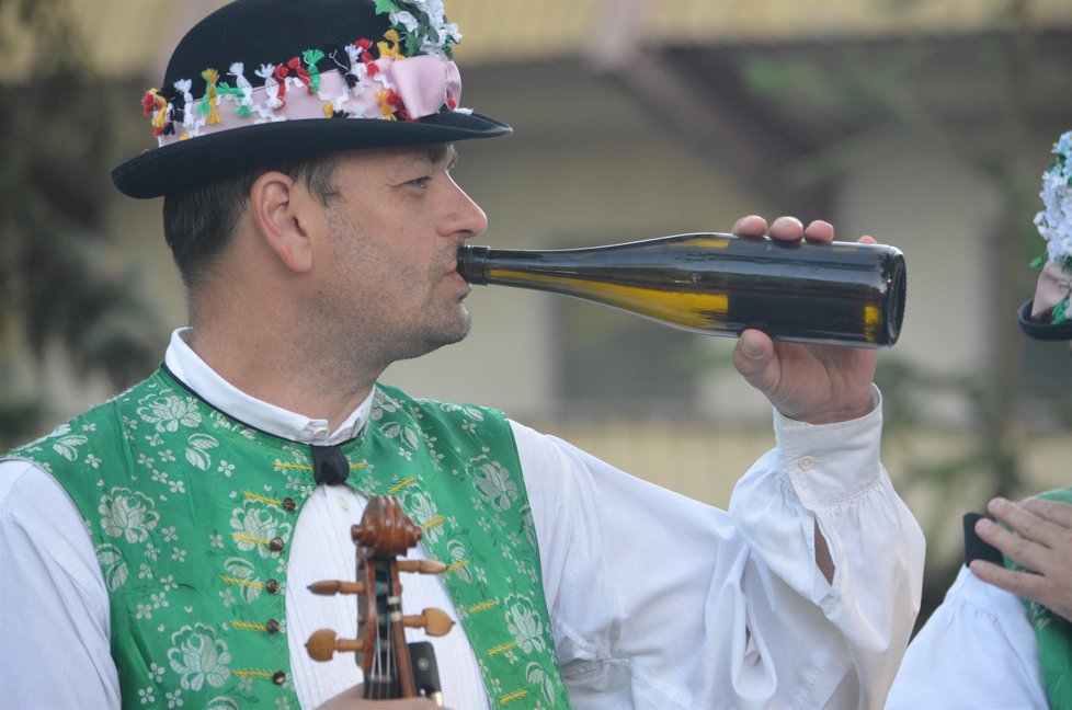 Slavnostní zahájení festivalu obstarali Strážničané. Hráli tradičně před zámkem u busty primáše Slávka Volavého.