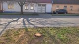 Morava hlásí teplotní rekord. Kde padl? A čtyřicítky na 12 stanicích. Sledujte radar Blesku