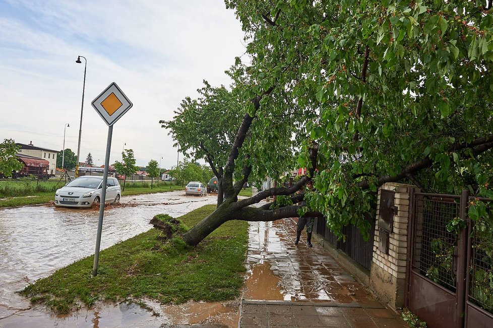 Bouře s přívalovým deštěm, krupobitím a vichřicí zdevastovala Strážnici na Hodonínsku. Živly vyvrátily stromy v ulici Jiřího z Poděbrad.