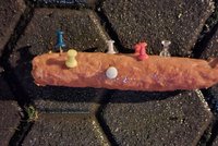 Nelida v Trutnově nastražil párek plný špendlíků! Pejskům hrozí nebezpečí