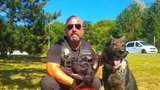 Psí renta: Vysloužilí služební psi strážníků v Plzni dostanou doživotní důchod