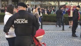 Městská policie pomáhá i turistům