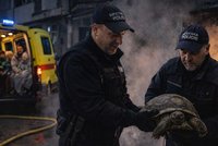 Novoroční požár v Brně: Strážníci zachraňovali lidi i želvu