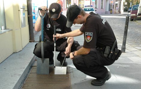 Strážníci si poradili a peníze zachránili.