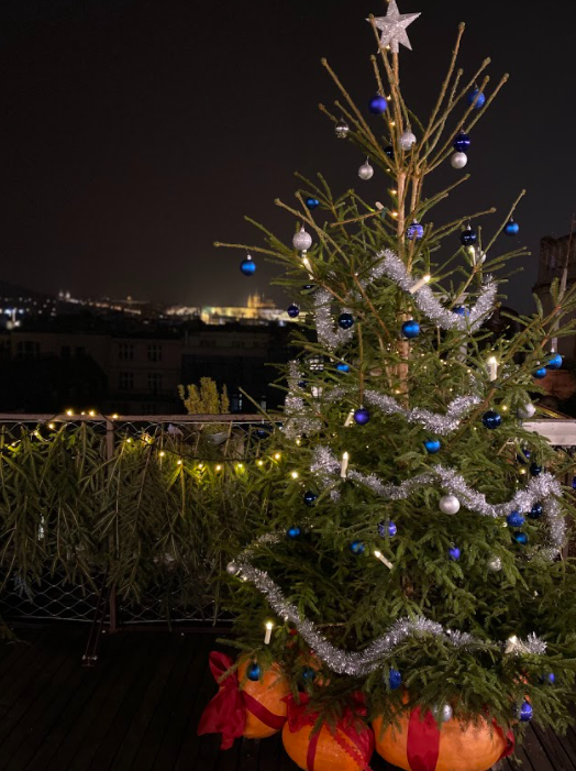 Střecha Lucerny se proměnila ve vánoční les