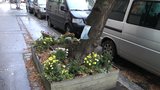 Pro street gardening v Praze je podzim ideální. „V první řadě je důležitá dohoda,“ podmiňuje magistrát