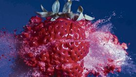 Jahoda - Jedna z nejefektnějších fotografií je ta se zachycenou explodující jahodou. Ta se tříští na tisíce kousíčků...