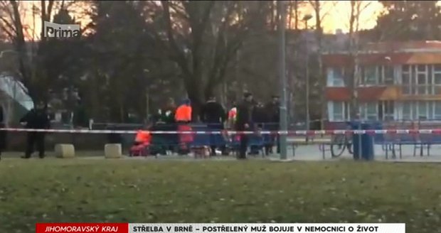 Před školou v Brně střílel trenér plavání? S agresivním otcem se pral o zbraň