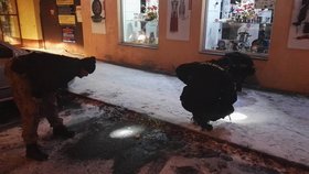 Na místo střelby vyjela výjezdová skupina. Policisté hledali ve sněhu na chodníku stopy po střelbě.