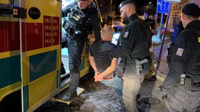 Podezřelého policisté zadrželi.
