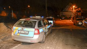 Policisté nezjistili, kdo střílel na dům podnikatele Ulčáka.