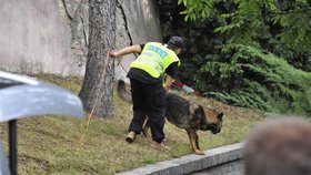 Policejní pes pátrá po nábojnicích