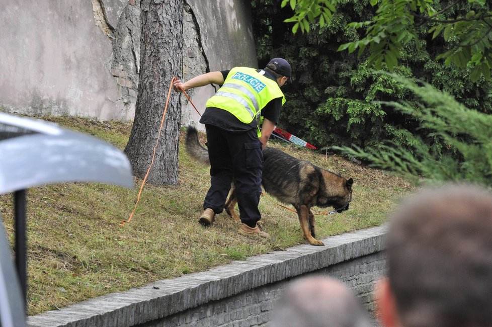 Policejní pes pátrá po nábojnicích