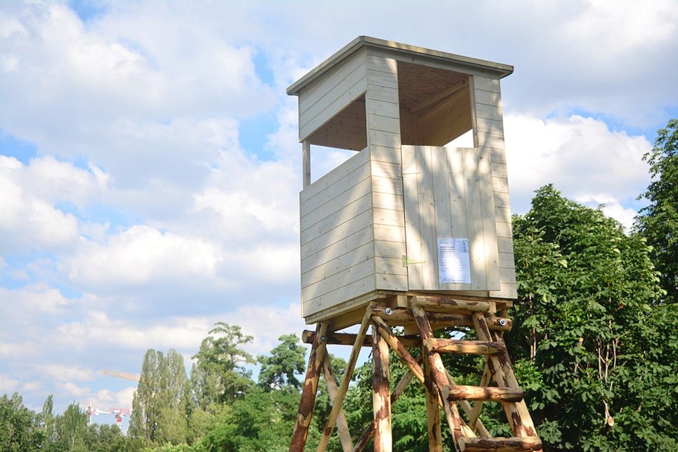 Divočina na Střeleckém ostrově: Landscape probudil místo k životu