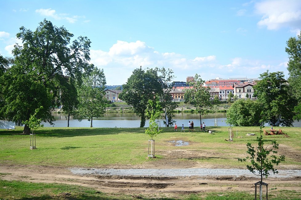 Divočina na Střeleckém ostrově: Landscape probudil místo k životu