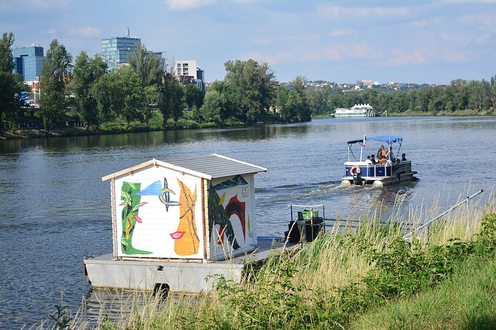 Divočina na Střeleckém ostrově: Landscape probudil místo k životu