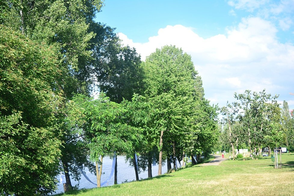 Divočina na Střeleckém ostrově: Landscape probudil místo k životu