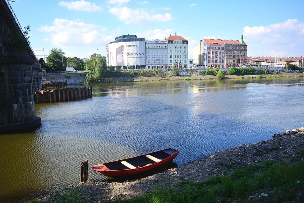 Divočina na Střeleckém ostrově: Landscape probudil místo k životu