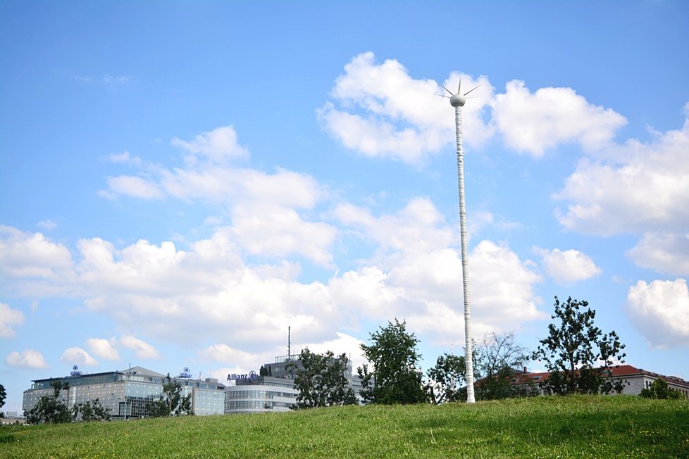 Divočina na Střeleckém ostrově: Landscape probudil místo k životu