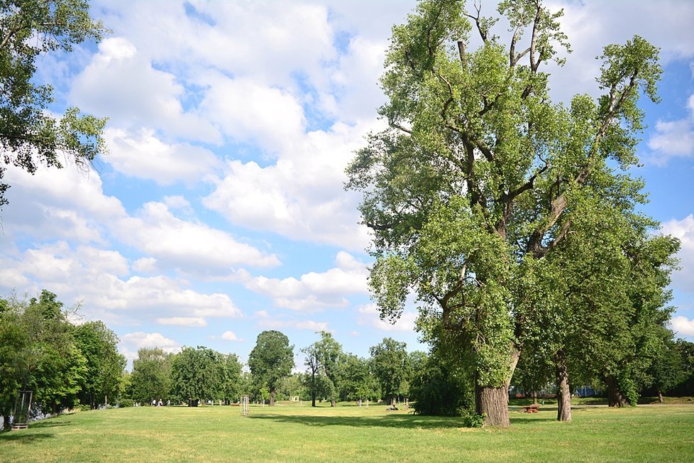 Divočina na Střeleckém ostrově: Landscape probudil místo k životu