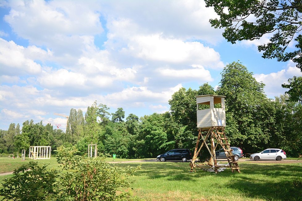 Divočina na Střeleckém ostrově: Landscape probudil místo k životu