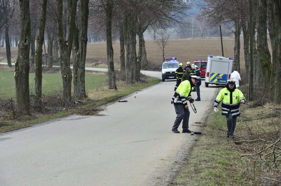 Náraz auto odhodil zpět na silnici.