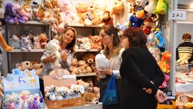 Vánoční šílenství v Letňanech: Od 350 vystavovatelů koupíte dárky i ozdoby