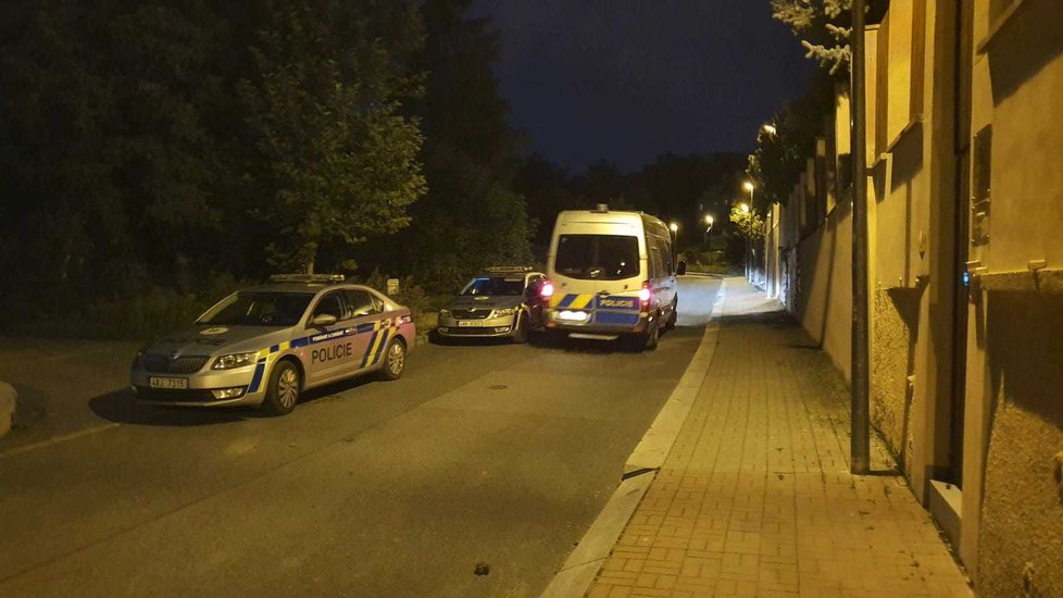 Policisté se samopaly pročesávali okolí Střížkovské ulice kvůli nahlášené střelbě (25. 8. 2019).