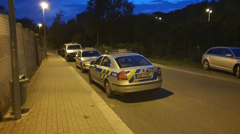 Policisté se samopaly pročesávali okolí Střížkovské ulice kvůli nahlášené střelbě (25. 8. 2019).