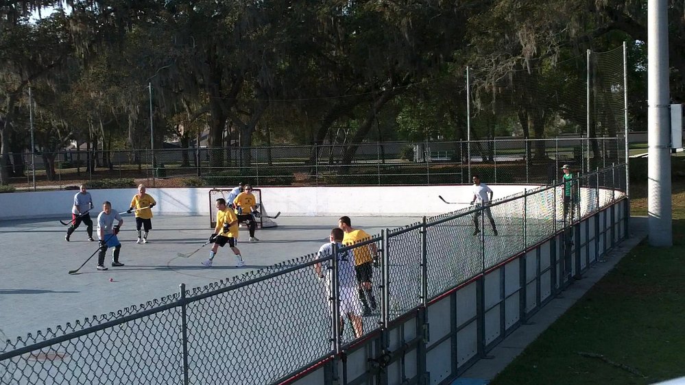Hokejbal se dnes hraje i na specializovaných hřištích