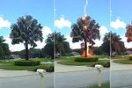 Neuvěřitelné video: Blesk z čistého nebe udeřil do stromu