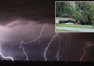 Hasiči nejčastěji vyjížděli kvůli spadlým stromům